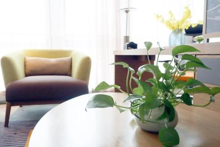 Hampton by Hilton Guangzhou Zhujiang New Town - 14