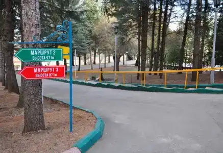 Пикет - 13