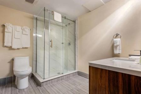 Quality Inn and Suites - 10