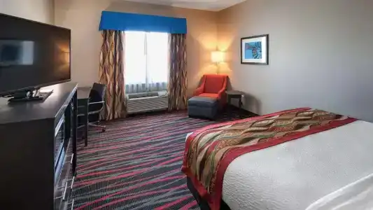 Best Western Plus Tech Medical Center Inn - 40
