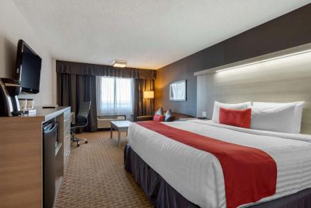 Best Western Plus Village Park Inn - 56