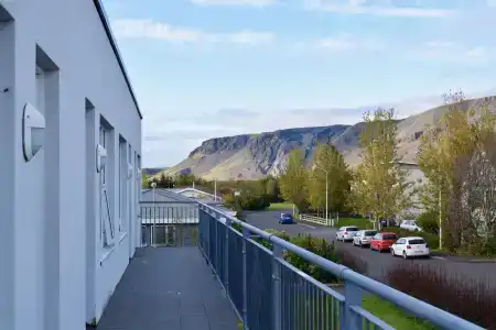 Arctic Nature - 8