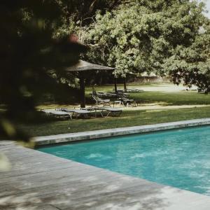 Château Des Alpilles - 47