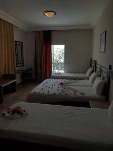 Palmyra Beach All Inclusive - Families & Couples only - 47