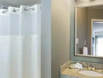 Hilton Garden Inn Atlanta-Buckhead - 9
