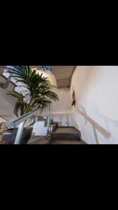 Boutique The Cathedral - 22
