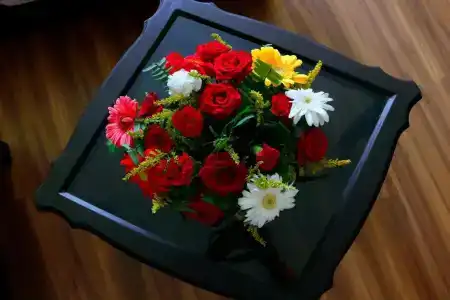 Nepalaya - 62