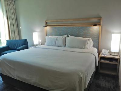 Holiday Inn Express Mexico Reforma - 37