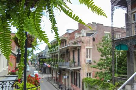 Andrew Jackson French Quarter - 52