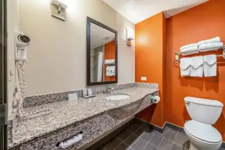 Restwell Inn & Suites I-45 North - 51