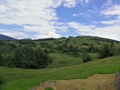 Blazenka Hodak - 48