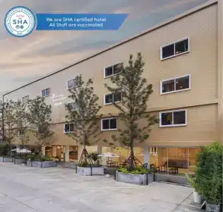 Bedline - Sha Certified - 0