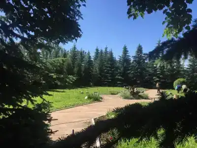 Тулпар - 9