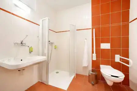 Záviš z Falkenštejna - 16