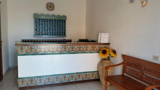 Al Paradise - 12