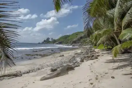 Domaine Desaubin Luxury Villas - 19