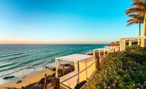 Royal Palm & Spa - Adults Only - 17