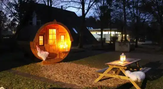 Azur Waldcamping Auwaldsee - 10
