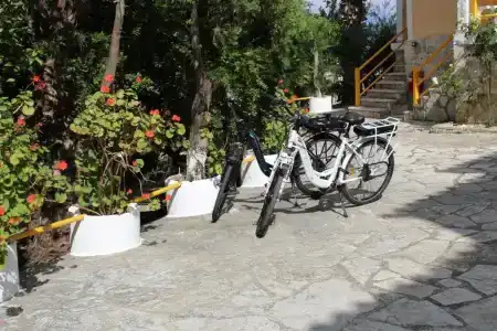Mirabelle - 55