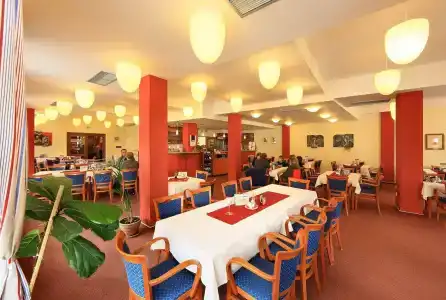 Záviš z Falkenštejna - 18