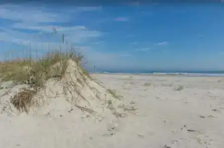 Hibiscus Oceanfront - 15