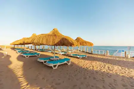 Sunrise Remal Beach Resort - 16