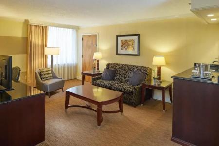 Hilton North Hills - 43