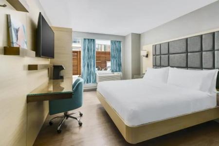 Hilton Garden Inn New York Times Square North - 45