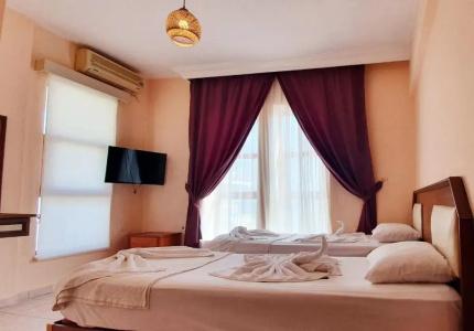 Palmen Apart - 24