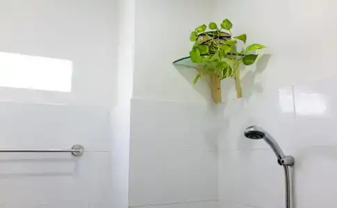 My Home - 7