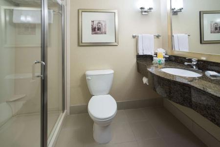 Hilton Garden Inn South - 8