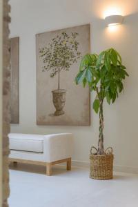 Casa Di Fiori Andros Suites - 97