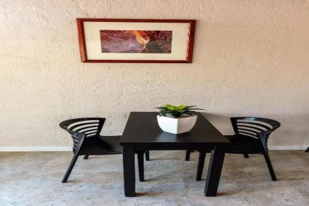 Desert Palms - 16