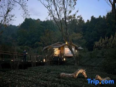 Hangzhou Senbo Resort - 105