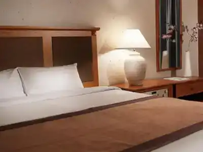 Paragon - 1