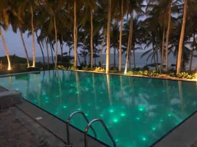 Turtle Bay - 53