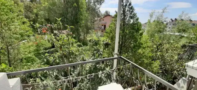 Tango Pension - 81