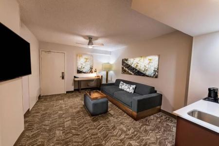 Springhill Suites Houston Medical Center / Nrg Park - 43