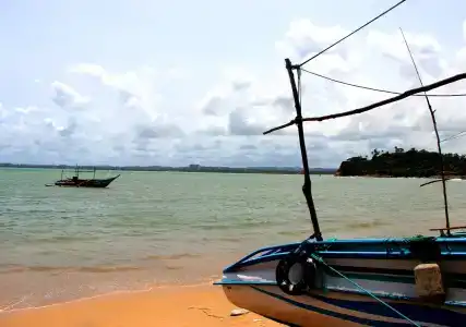 Marina Resort - 2