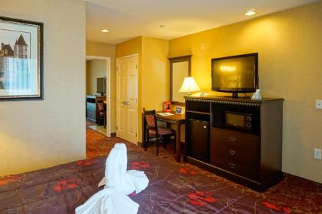 Castle Inn and Suites Anaheim - 6