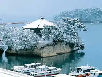 Green Pacific - 18