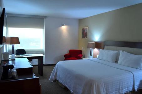 Holiday Inn Guadalajara Select, An Ihg - 86