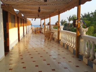 Seven Heaven Dahab - 5