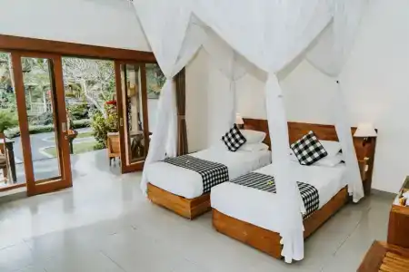 Capung Mas - 25