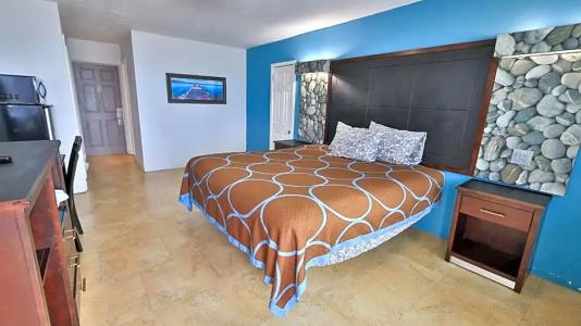 Driftwood Beach - 152