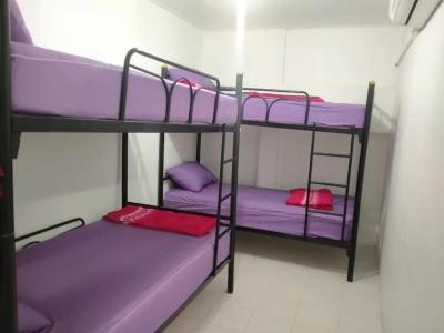 Seventeen Hostel - 24
