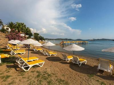 Cunda Panorama - 16