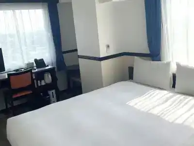 Toyoko Inn Iwatsuki Ekimae - 91