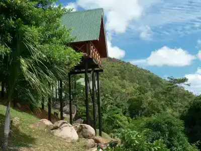Mango Lodge - 137