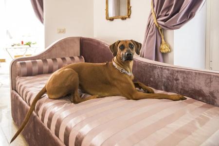 Trastevere Royal Suite - 83